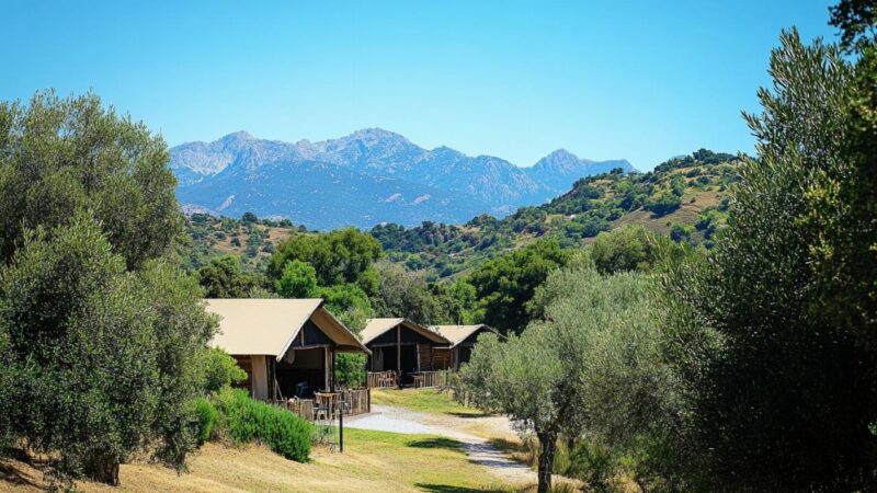 Découvrir le Camping Le Campoloro à Cervione : guide complet des hébergements